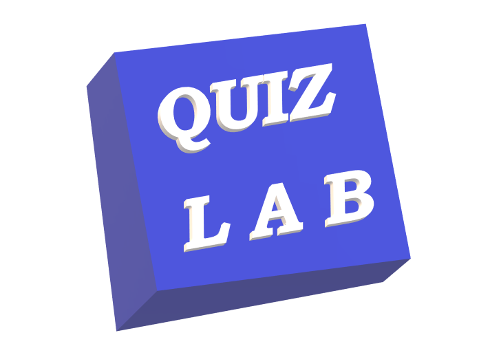 QUIZ LOG sub